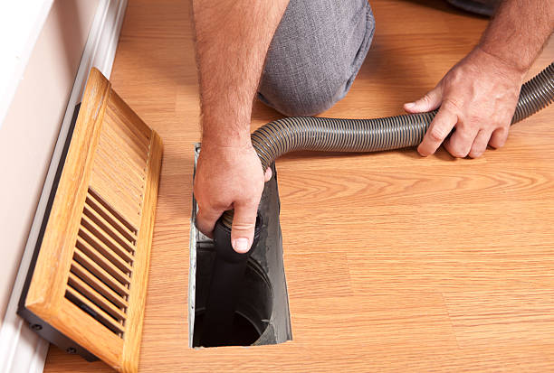 Best Mold and Mildew Removal from Ducts in USA